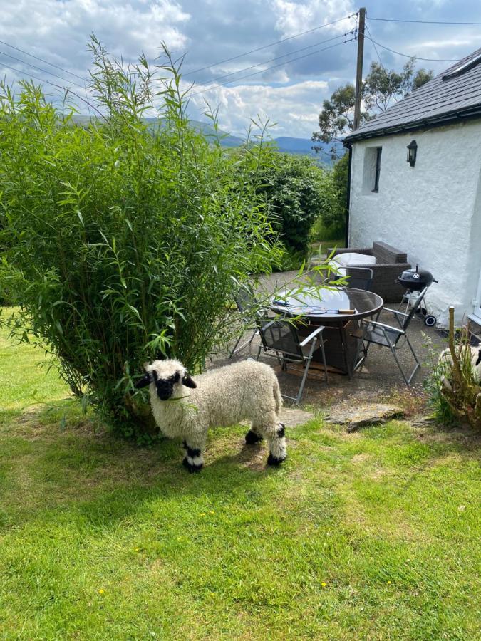 Fron Goch Cottage Dolwyddelan Exteriér fotografie